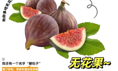 怀孕药流用什么药专区_怀孕后药物流产能流干净吗专区_怀孕用药流能流干净吗网