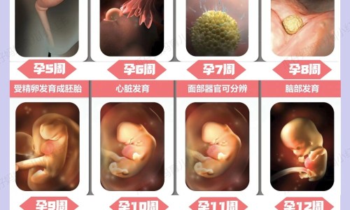 怀孕吃药能流干净吗-怀孕药流用什么药专区_怀孕后药物流产能流干净吗专区_怀孕用药流能流干净吗网
