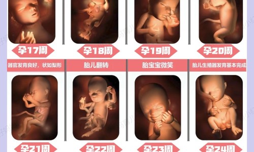 怀孕吃药能流干净吗-怀孕药流用什么药专区_怀孕后药物流产能流干净吗专区_怀孕用药流能流干净吗网
